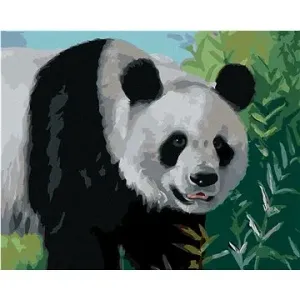 Zuty - Malování podle čísel - PANDA (D. RUSTY RUST), 80x100 cm, vypnuté plátno na rám
