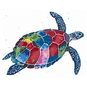 Barevná želva, 40×50 cm, bez rámu a bez vypnutí plátna