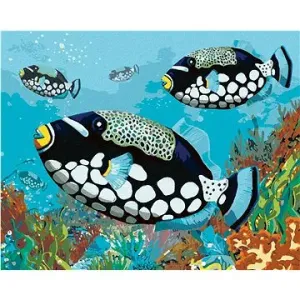 Černé rybky, 40×50 cm, bez rámu a bez vypnutí plátna