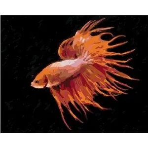 Červená ryba, 80×100 cm, vypnuté plátno na rám