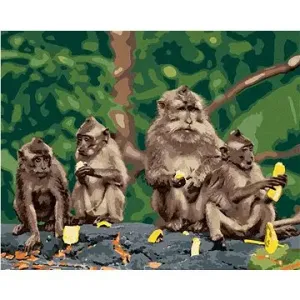 Čtyři opice s banány, 40×50 cm, bez rámu a bez vypnutí plátna