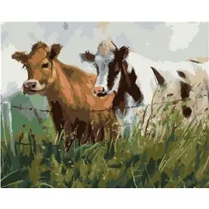 Dvě krávy v ohradě, 80×100 cm, vypnuté plátno na rám