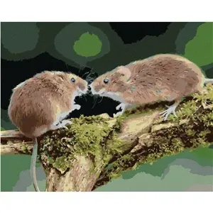 Dvě myšky v lese, 40×50 cm, bez rámu a bez vypnutí plátna