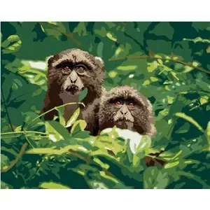 Dvě opice v lese v Jižní Africe, 40×50 cm, bez rámu a bez vypnutí plátna