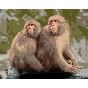 Dvě opice v zoo v Japonsku, 40×50 cm, bez rámu a bez vypnutí plátna