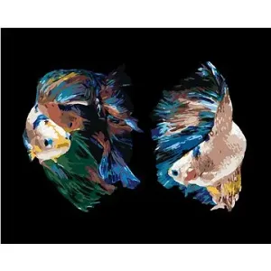 Dvě ryby bojovnice, 40×50 cm, vypnuté plátno na rám