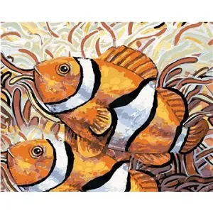 Dvě ryby Nemo, 40×50 cm, bez rámu a bez vypnutí plátna