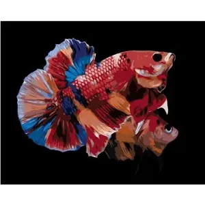 Dvě zbarvené rybky, 40×50 cm, bez rámu a bez vypnutí plátna