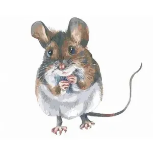 Hnědá myška, 80×100 cm, vypnuté plátno na rám