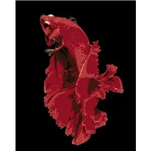 Krásná červená rybka