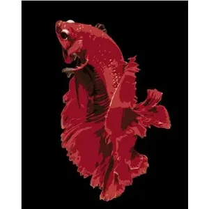 Krásná červená rybka, 80×100 cm, vypnuté plátno na rám