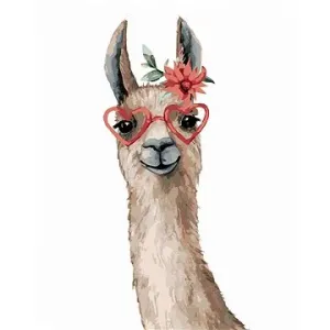 Lama s brýlemi, 40×50 cm, vypnuté plátno na rám