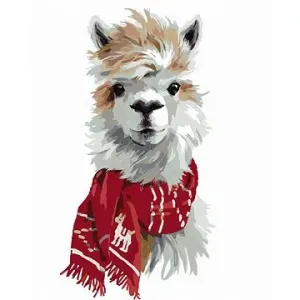 Lama s červenou šálou