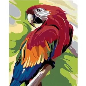 Malování podle čísel - Barevný papoušek