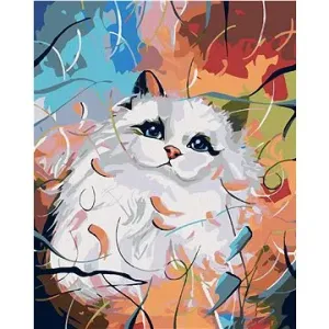 Malování podle čísel - Bílá kočička a barevné pozadí