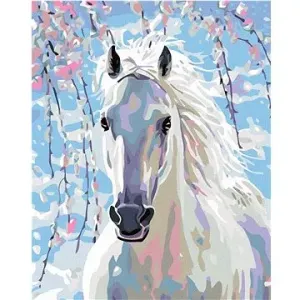 Malování podle čísel - Bílý kůň