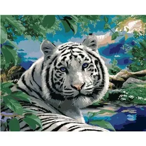Malování podle čísel - Bílý tygr a divoká příroda (Howard Robinson)