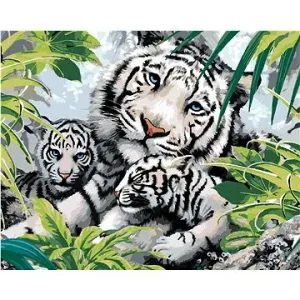 Malování podle čísel - Bílý tygr a dvě mláďata (Howard Robinson)