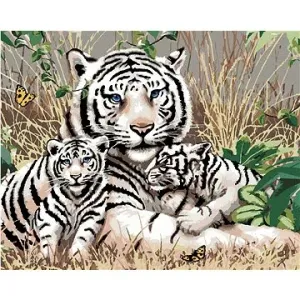 Malování podle čísel - Bílý tygr a mláďata v trávě (Howard Robinson)
