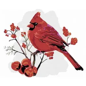 Malování podle čísel - Červený ptáček v jařabinách