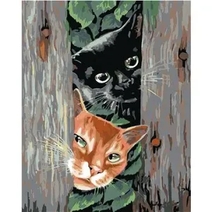 Malování podle čísel - Číhající kočky