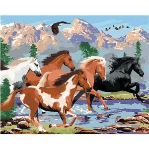 Malování podle čísel - Divocí koně v horách (Howard Robinson)