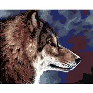 Malování podle čísel - Hlava vlka