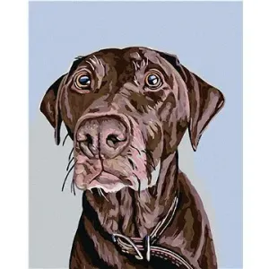 Malování podle čísel - Hnědý pes s hnědým obojkem