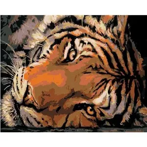 Malování podle čísel - Jasný tygří pohled