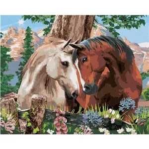 Malování podle čísel - Když se zamiluje kůň (Howard Robinson)
