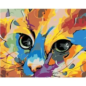 Malování podle čísel - Kočičí pohled I