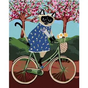 Malování podle čísel - Kočička na kole