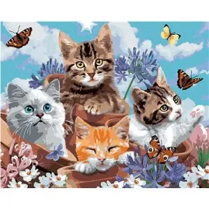 Malování podle čísel - Kočky v květináčích a motýlci (Howard Robinson)