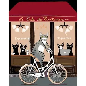 Malování podle čísel - Kocour na kole před kavárnou
