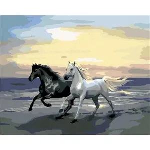 Malování podle čísel - Koně na pláži