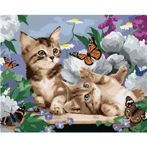 Malování podle čísel - Koťata, motýli a pivoňky (Howard Robinson)