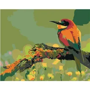 Malování podle čísel - Malý barevný ptáček se špičatým zobákem