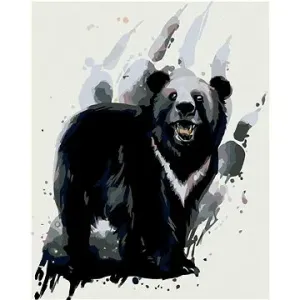 Malování podle čísel - Medvěd baribal