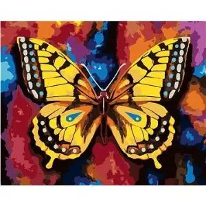 Malování podle čísel - Motýl na barevném pozadí