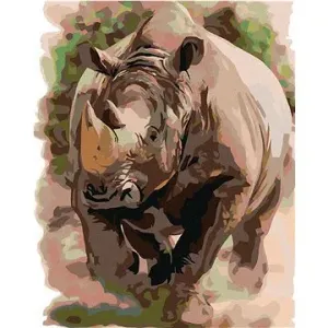 Malování podle čísel - Nosorožec