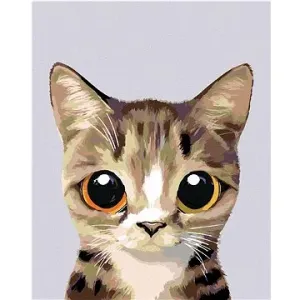 Malování podle čísel - Okatá mourovatá kočička