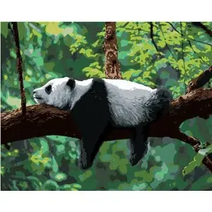 Malování podle čísel - Panda ležící na stromě