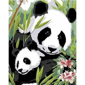 Malování podle čísel - Panda s mládětem