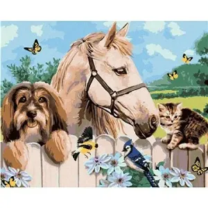 Malování podle čísel - Pes, kůň a kotě (Howard Robinson)
