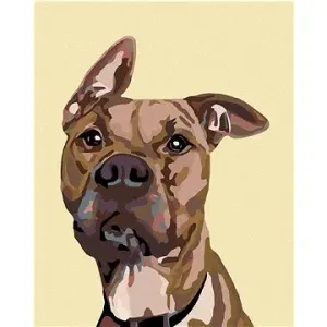 Malování podle čísel - Pes s nastraženým uchem