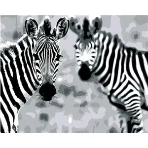 Malování podle čísel - Pruhované zebry