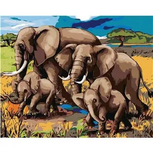Malování podle čísel - Rodinka slonů