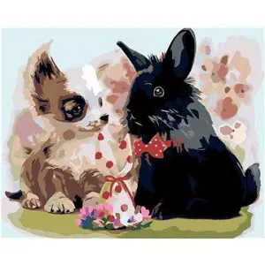 Malování podle čísel - Štěně s černým králíkem