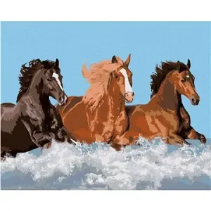 Malování podle čísel - Tři koně ve vodě