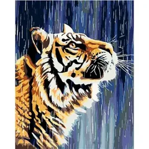 Malování podle čísel - Tygr u vodopádu